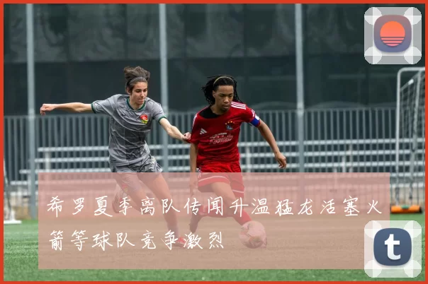 希罗夏季离队传闻升温猛龙活塞火箭等球队竞争激烈